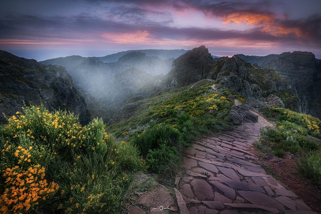 Madeira photography tours and workshops