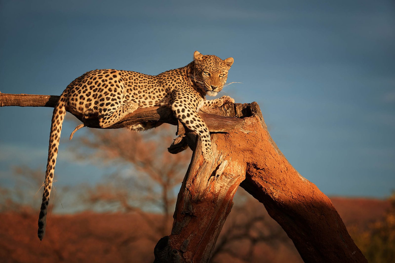 Namibia photography tours and workshops