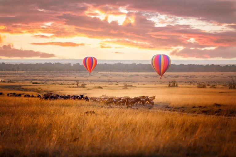 Hot air balloons over landscape in Kenya