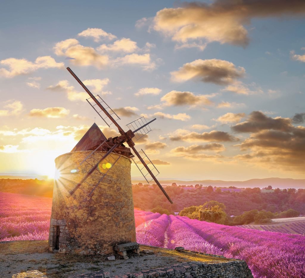 Lavender farm in Provence, France - Provence Photography Tours & Workshops