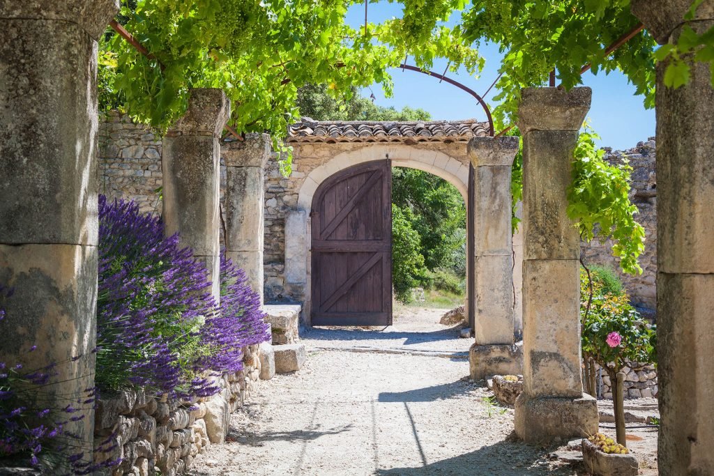 Lavender farm in Provence, France