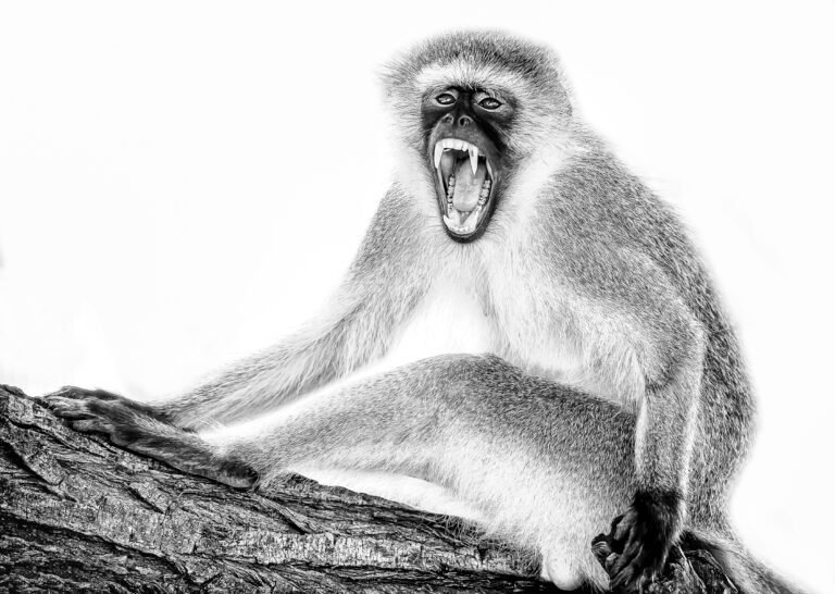 the-scream-b-w