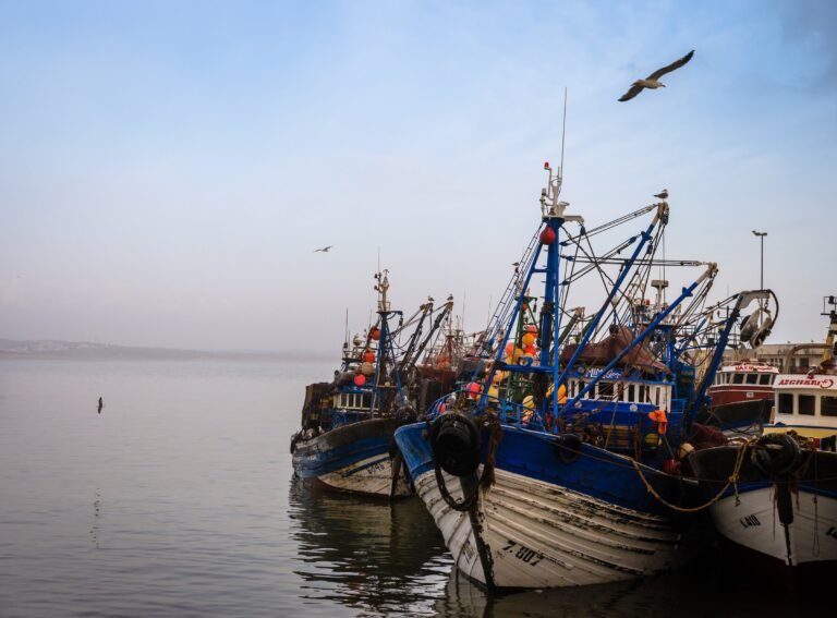 Fishing Boats of Essaouria