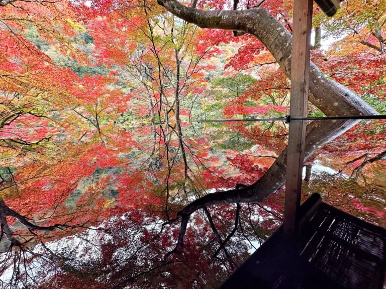 Japan in Autumn