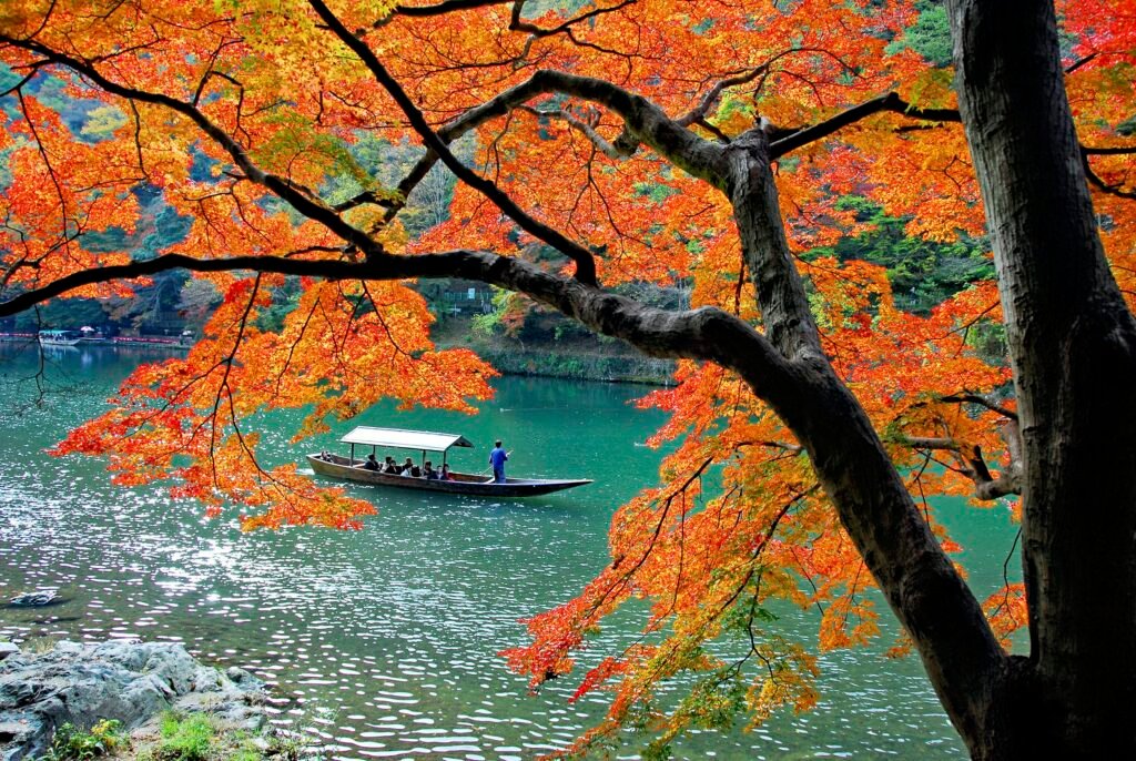 Japan in Fall