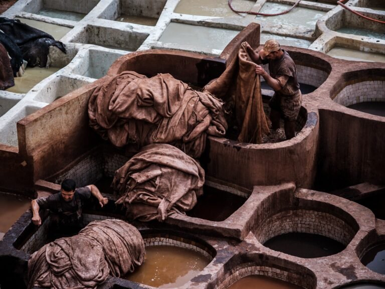 Workers of the Fez Tannery
