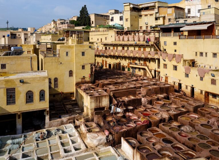 Chouara Tannery