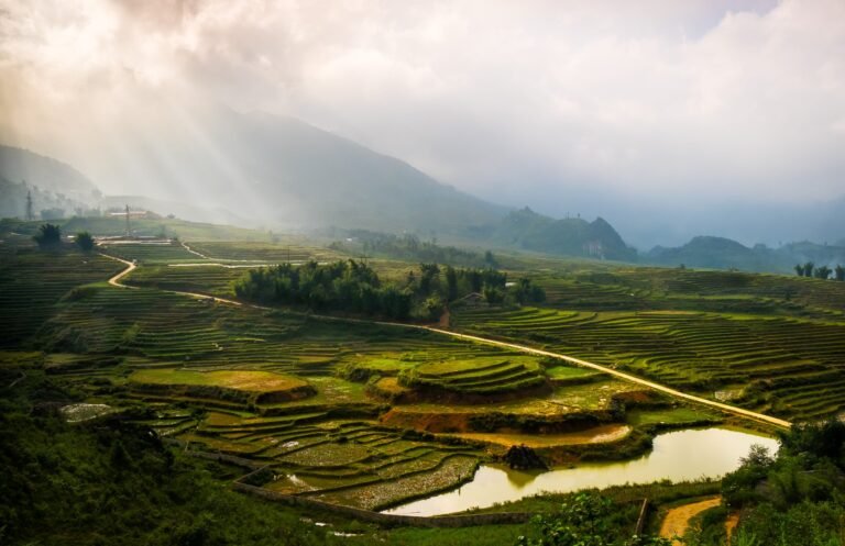 Sapa Landscape