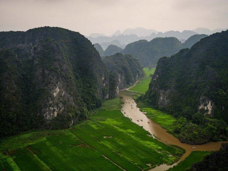 Boat Ride Through Tràng An’s Limestone Caves