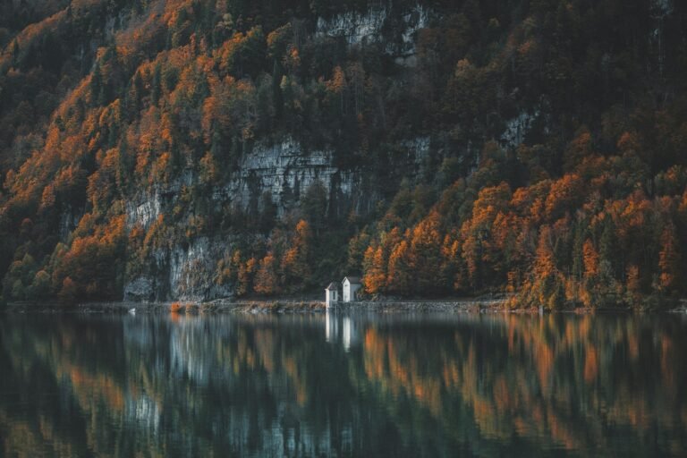 Autumn_lakeshore_reflection