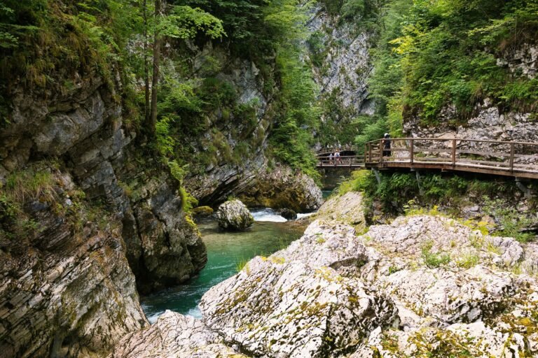 Vintgar gorge walkway
